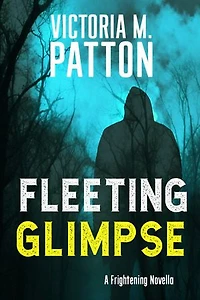 Fleeting Glimpse: A Domestic Thriller