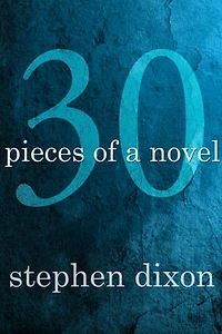 30 Pieces of a Novel