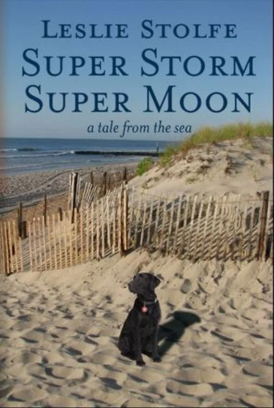 Super Storm Moon: A Tale from the Sea