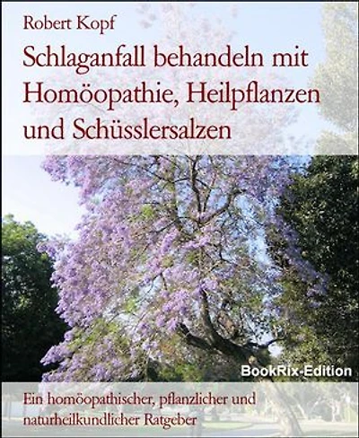 Schlaganfall behandeln mit Homöopathie, Heilpflanzen und Schüsslersalzen: Ein homöopathischer, pflanzlicher und naturheilkundlicher Ratgeber