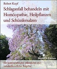 Schlaganfall behandeln mit Homöopathie, Heilpflanzen und Schüsslersalzen: Ein homöopathischer, pflanzlicher und naturheilkundlicher Ratgeber
