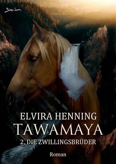 TAWAMAYA - 2. DIE ZWILLINGSBRÜDER: Ein historischer Roman