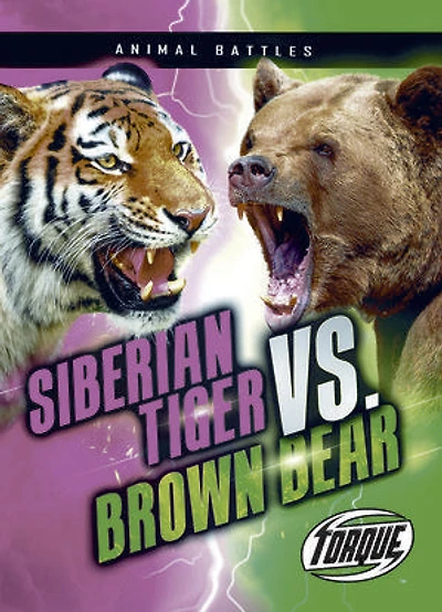 Siberian Tiger vs. Brown Bear