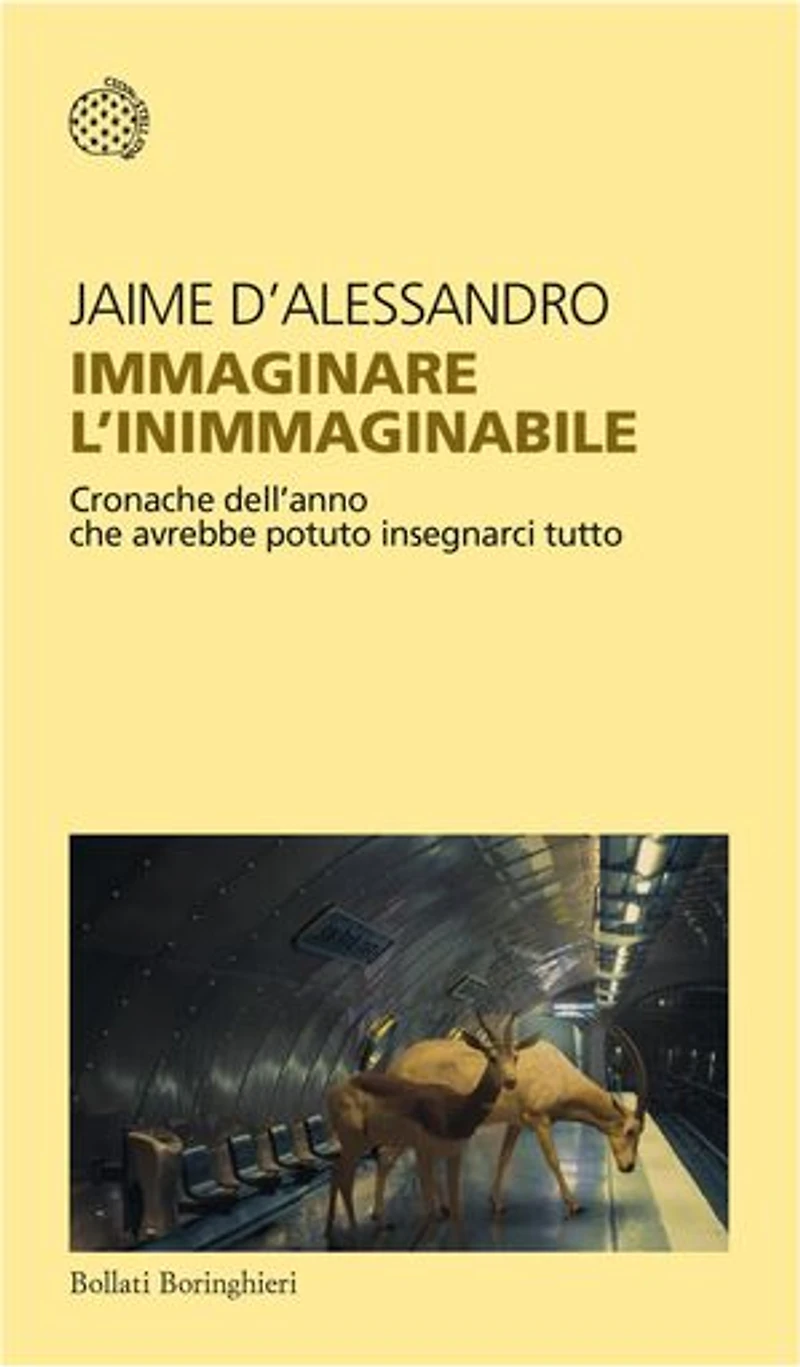 Immaginare l’inimmaginabile: Cronache dell'anno che avrebbe potuto insegnarci tutto