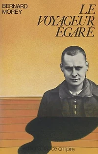 Le voyageur égaré