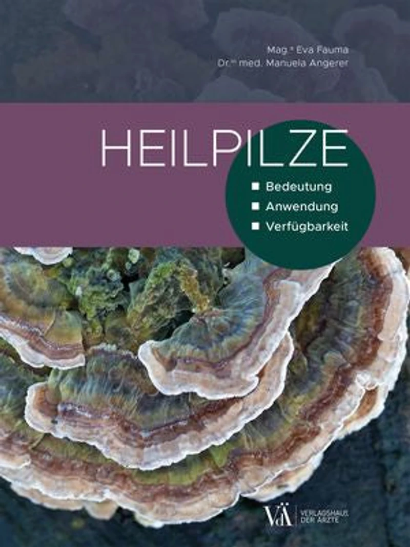 Heilpilze: Bedeutung, Anwendung, Verfügbarkeit