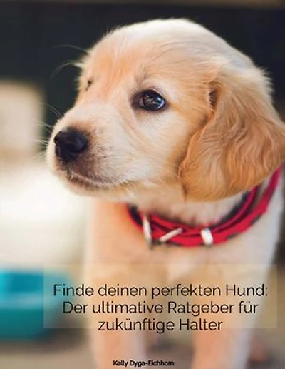 Finde deinen perfekten Hund: Der ultimative Ratgeber für zukünftige Halter