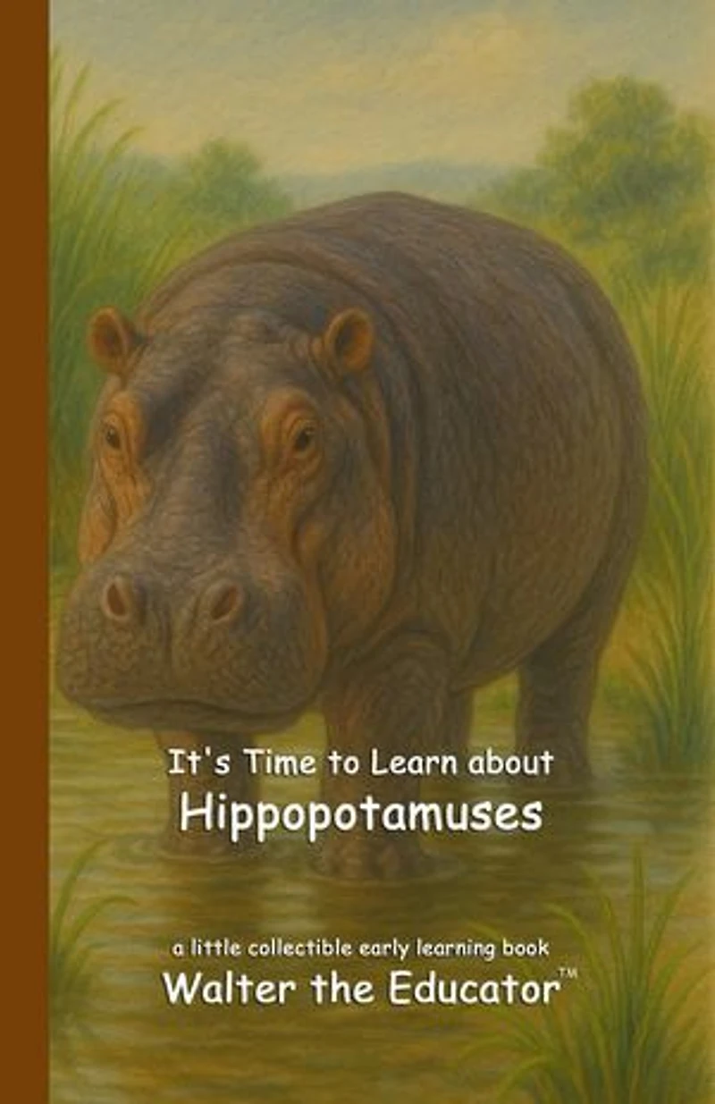 It's Time to Learn about Hippopotamuses