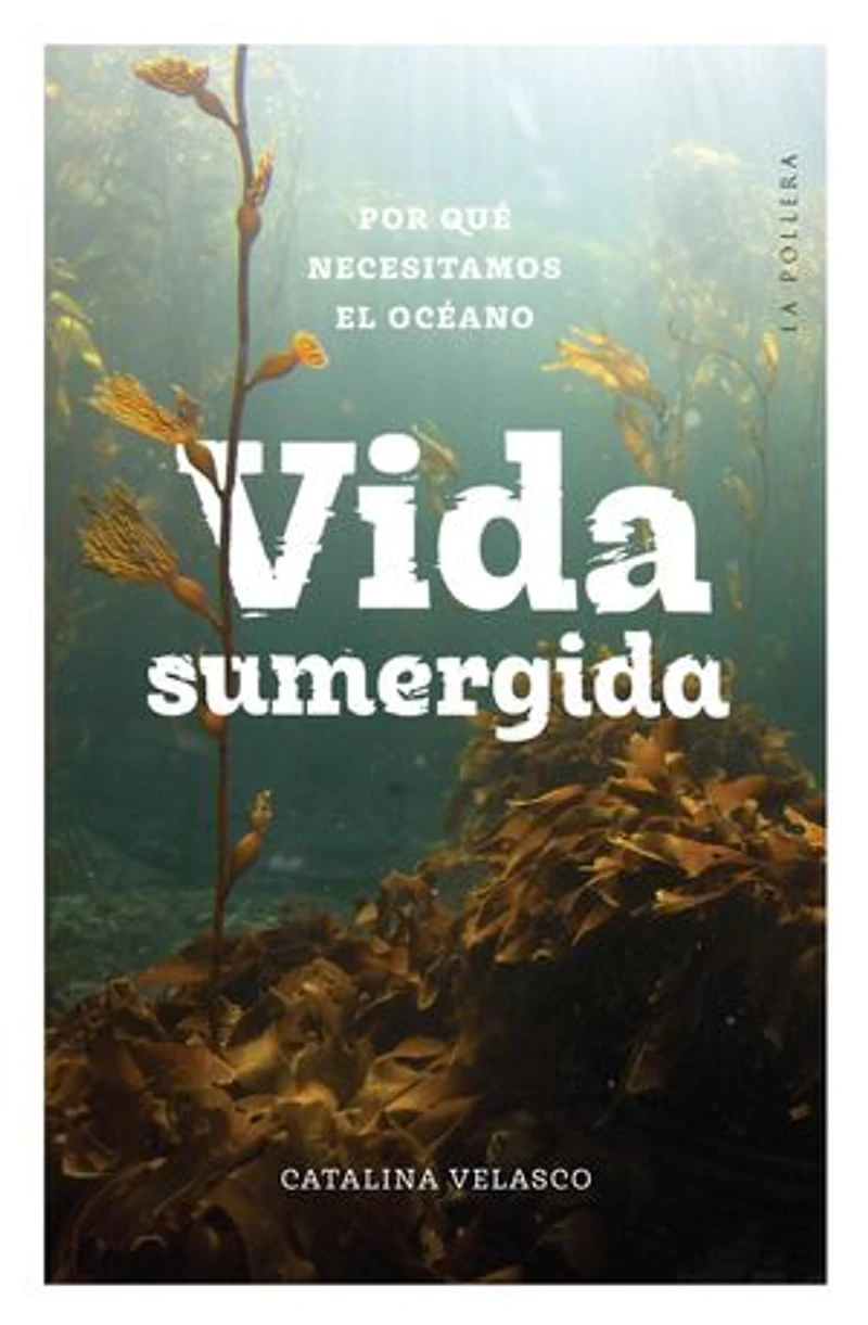 Vida sumergida: Por qué necesitamos el océano