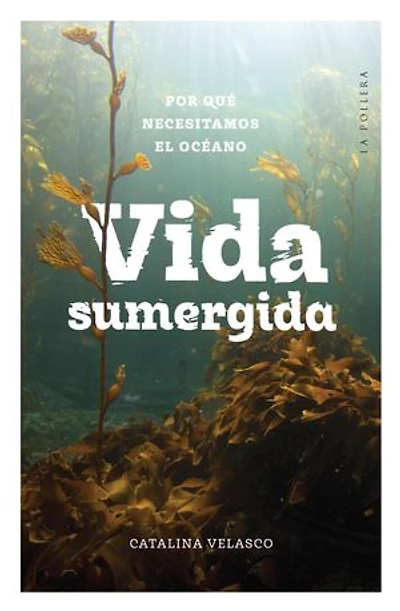Vida sumergida: Por qué necesitamos el océano