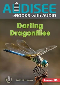 Darting Dragonflies