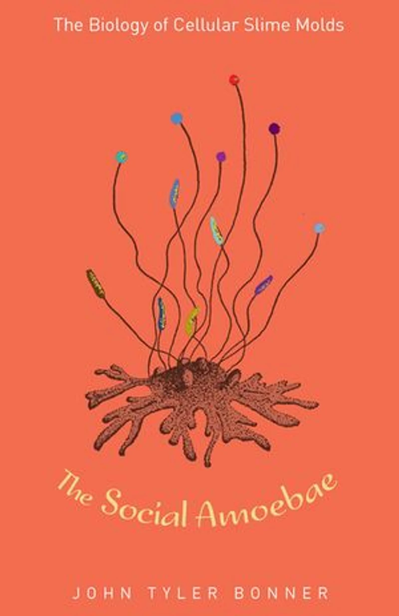The Social Amoebae: Biology of Cellular Slime Molds