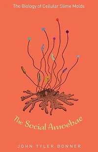 The Social Amoebae: Biology of Cellular Slime Molds