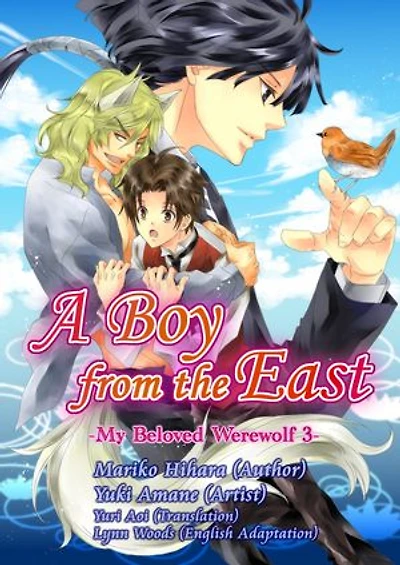A Boy from the East: Yaoi Manga
