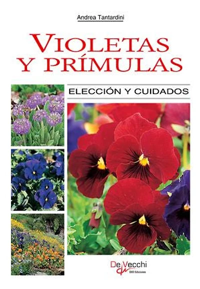 Violetas y prímulas: Elección Y Cuidados