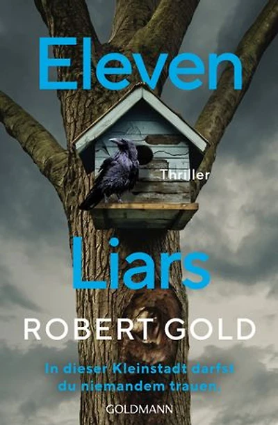 Eleven Liars: In dieser Kleinstadt darfst du niemandem trauen. - Thriller
