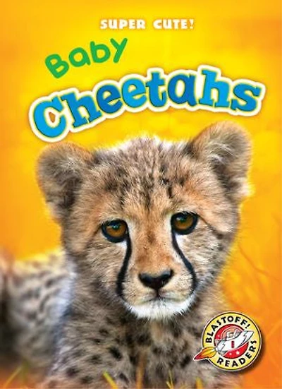 Baby Cheetahs