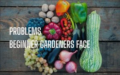 Problem Beginner Gardners Face: ways to overcome them