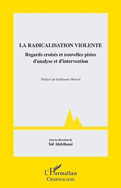 La radicalisation violente: Regards croisés et nouvelles pistes d’analyse et d’intervention