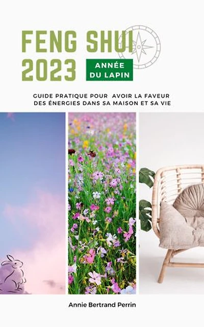 Feng shui 2023 Année du Lapin: Guide pratique pour avoir la faveur des énergies dans sa maison et sa vie