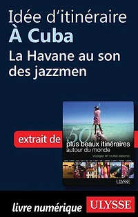 50 PLUS BEAUX ITINÉRAIRES AUTOUR DU MONDE (LES)