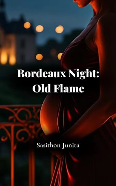 Bordeaux Night: Old Flame: Bordeaux Night, #2