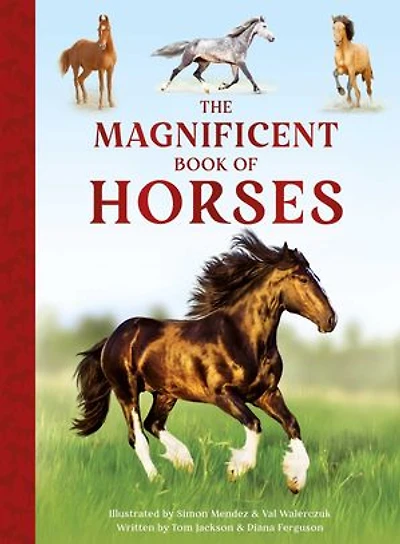 The Magnificent Book of Horses