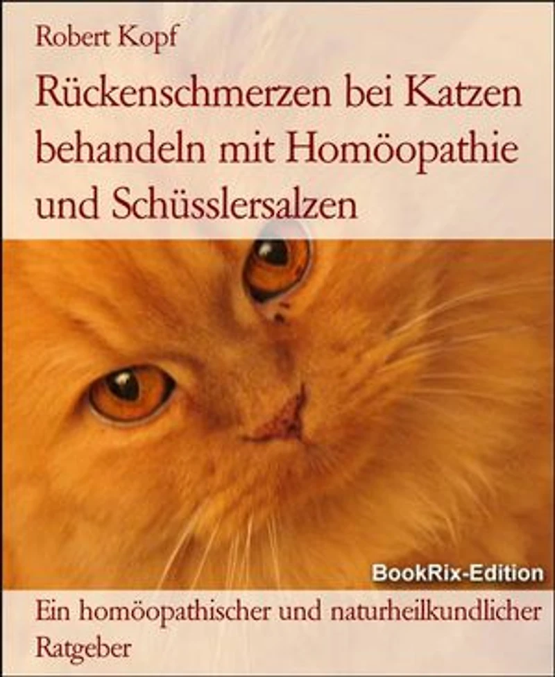 Rückenschmerzen bei Katzen behandeln mit Homöopathie und Schüsslersalzen: Ein homöopathischer und naturheilkundlicher Ratgeber