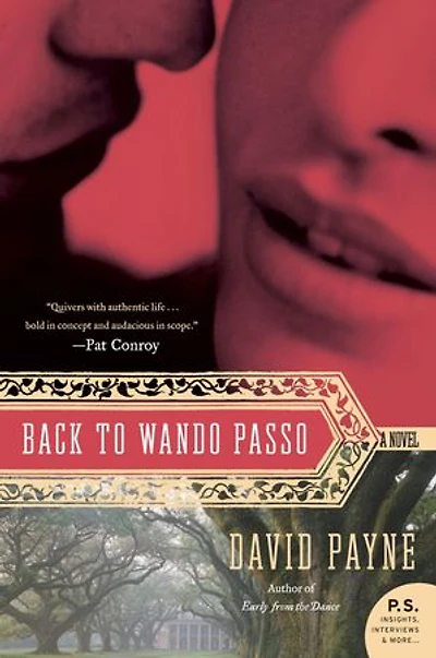 Back to Wando Passo: A Novel