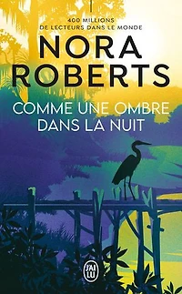 Comme une ombre dans la nuit