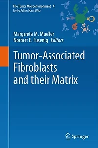 Tumor-Associated Fibroblasts and their Matrix