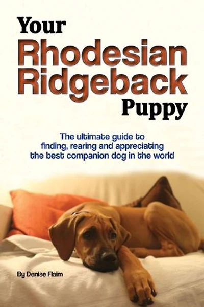 Your Rhodesian Ridgeback Puppy: The ultimate guide to finding