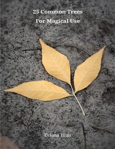25 Common Trees for Magical Use