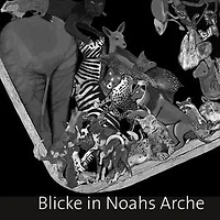 Blicke in Noahs Arche