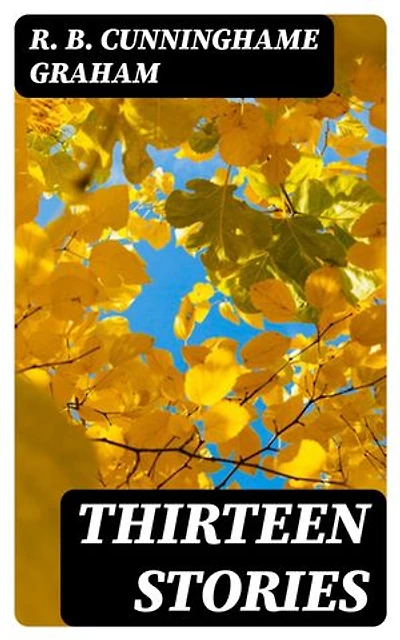Thirteen Stories: Enriched edition.