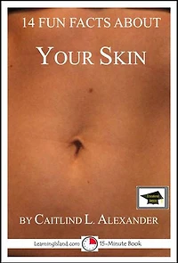 14 Fun Facts About Your Skin: Educational Version