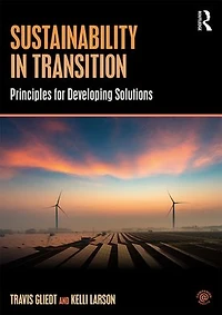 Sustainability Transition: Principles for Developing Solutions