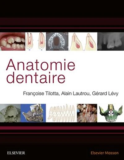 Anatomie dentaire