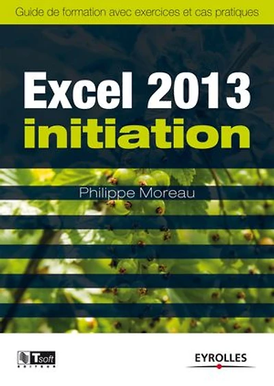 Excel 2013 initiation: guide de formation avec exercices et cas pratiques