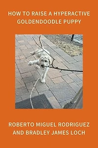 How to Raise a Hyperactive Goldendoodle Puppy