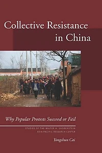 Collective Resistance China: Why Popular Protests Succeed or Fail
