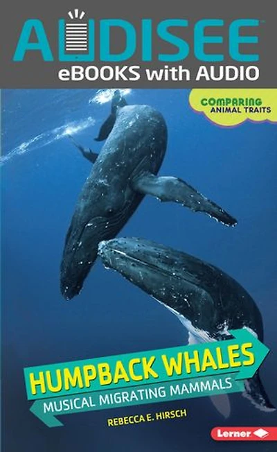 Humpback Whales: Musical Migrating Mammals