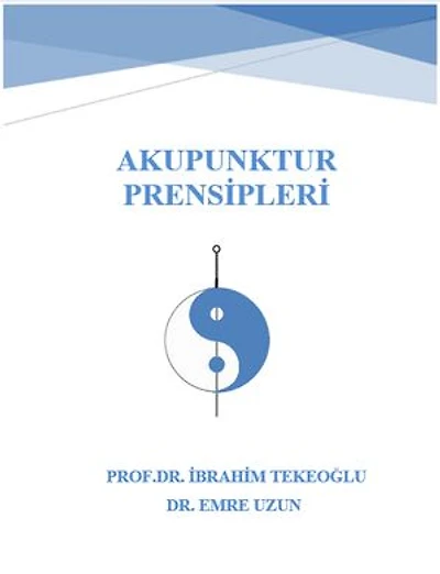 AKUPUNKTUR PRENSİPLERİ