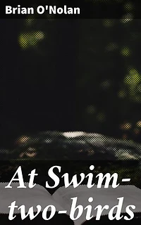 At Swim-two-birds: Exploring Identity and Creativity in Dublin: A Metafictional Journey