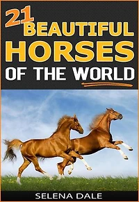 21 Beautiful Horses Of The World: Weird & Wonderful Animals, #6