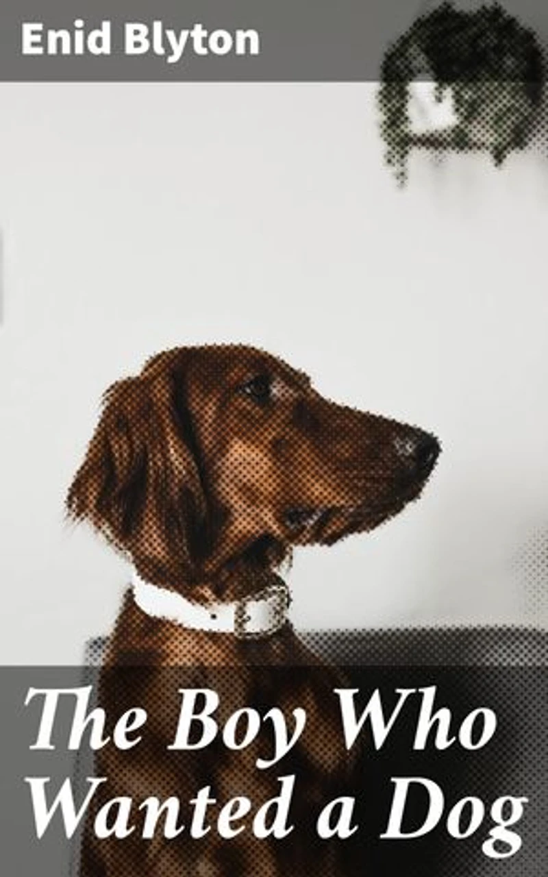 The Boy Who Wanted a Dog: A Heartwarming Tale of Friendship and Adventure