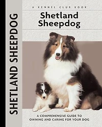 Shetland Sheepdog: A Comprehensive Guide to Owning and Caring for Your Dog