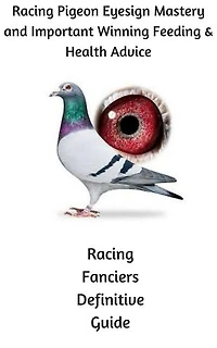 Racing Pigeon Eye Sign Mastery and Important Winning Feeding and Health Advice