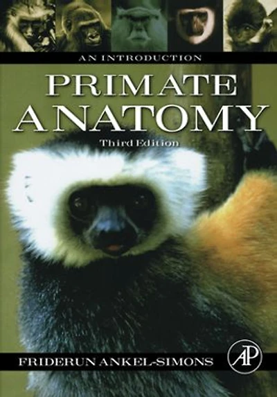 Primate Anatomy: Introduction to Extant Primates
