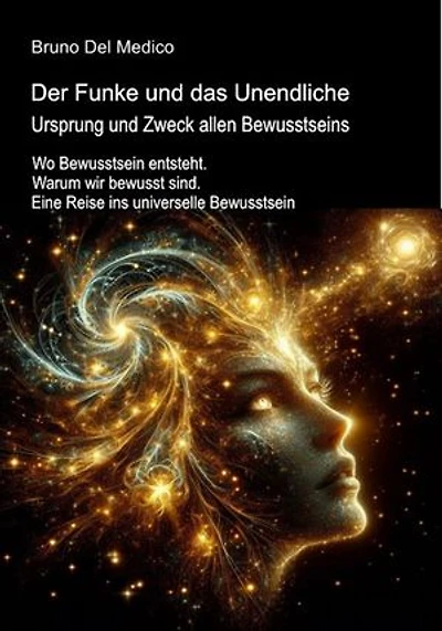 Der Funke und das Unendliche. Ursprung und Zweck allen Bewusstseins.: Wo Bewusstsein entsteht. Warum wir bewusst sind. Eine Reise ins universelle Bewusstsein